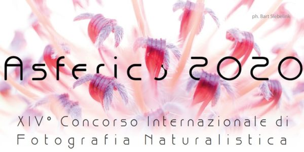 International Nature Photography Competition ASFERICO