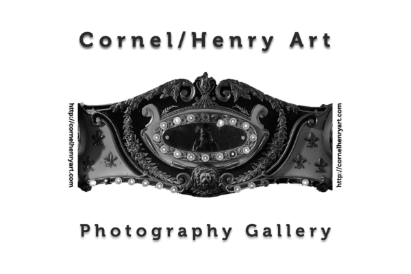 Cornel/Henry Art Artist Award