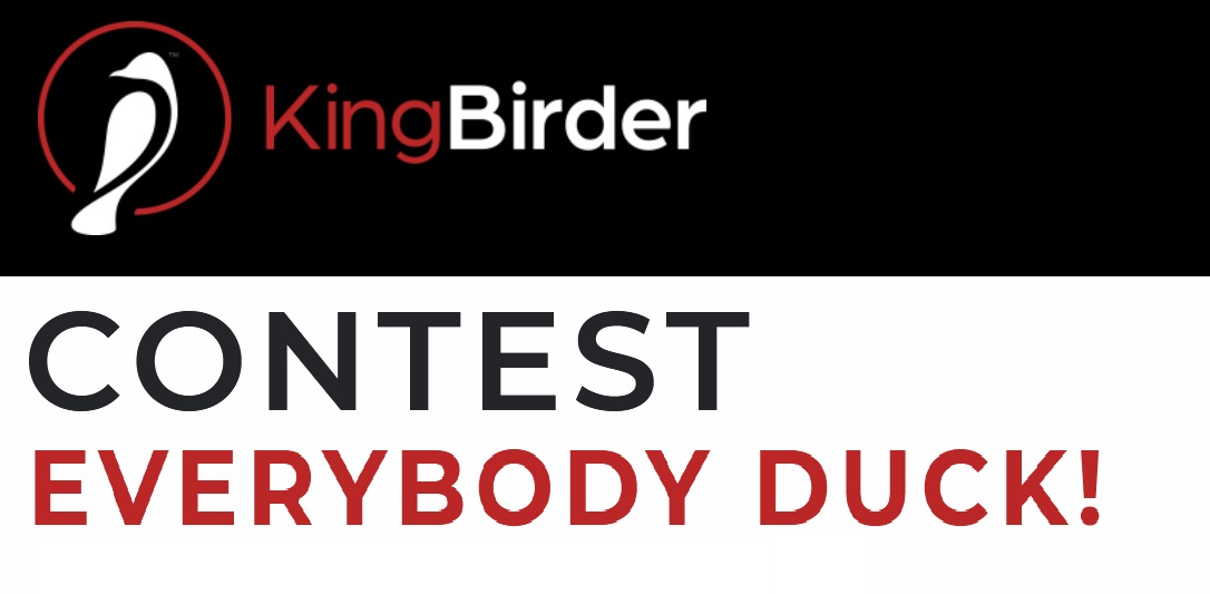 KingBirder Everybody Duck Photo Contest
