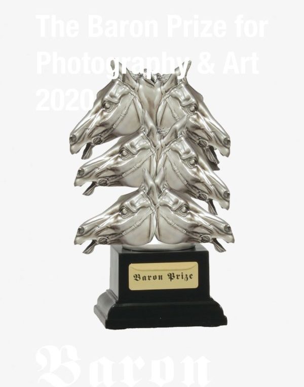 The Baron Prize for Art and Photography
