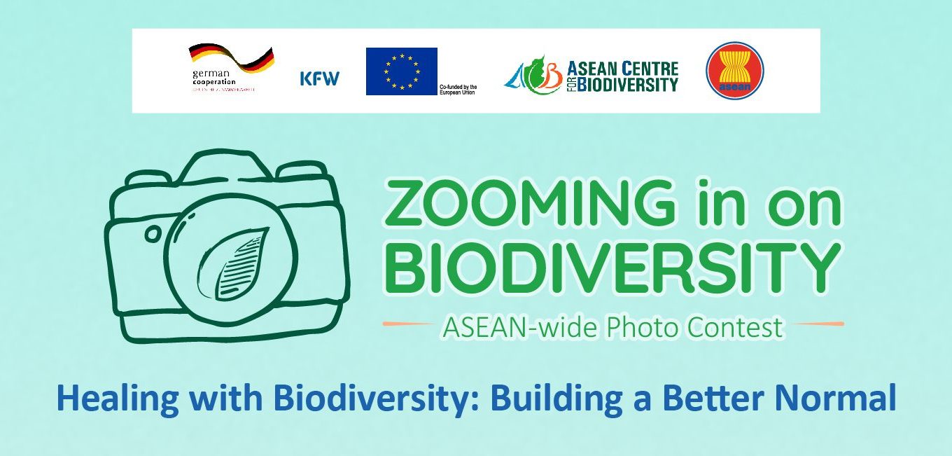 Zooming in on Biodiversity