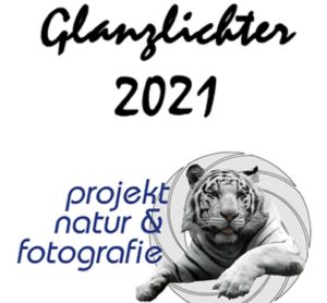 Glanzlichter International Competition of Nature Photography