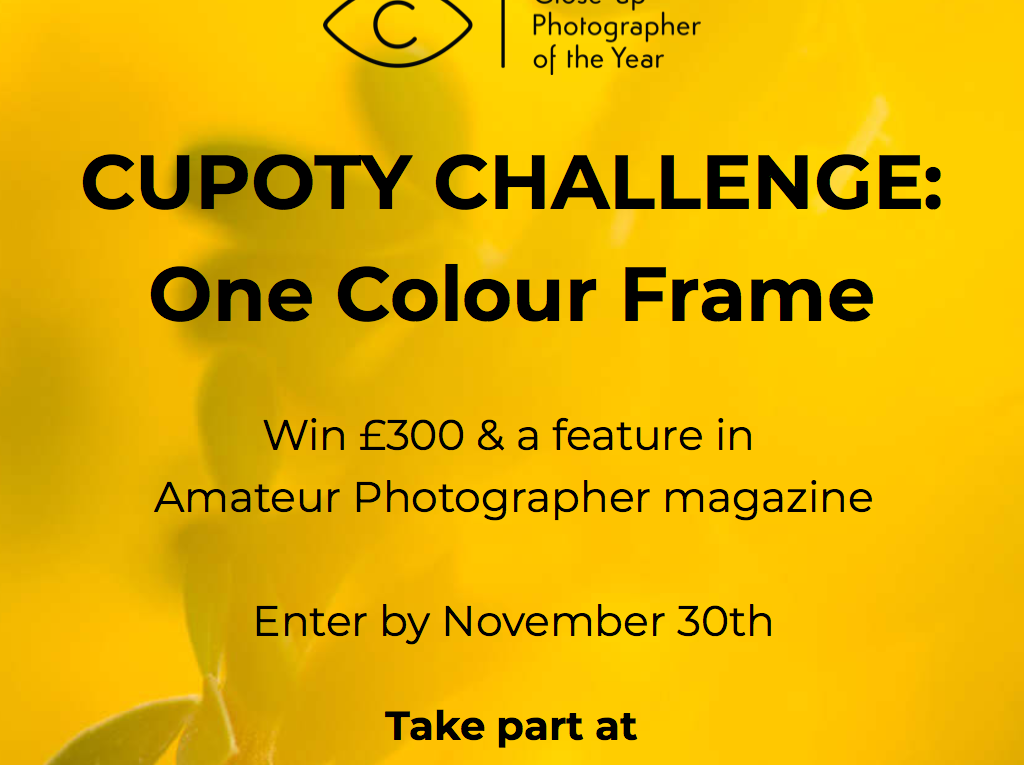 CUPOTY CHALLENGE: One Colour Frame