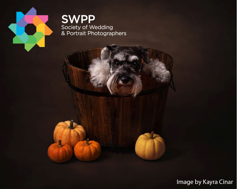 SWPP Autumnal Portraits Photography Competition