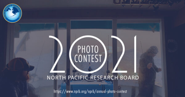North Pacific Research Board Photo Contest