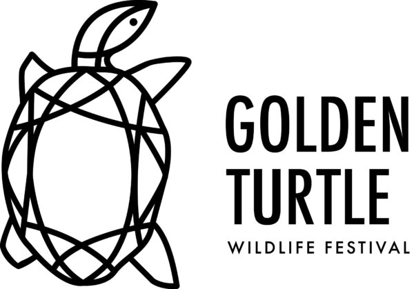 The Golden Turtle