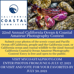22nd Annual Coastal and Ocean Amateur Photo Contest