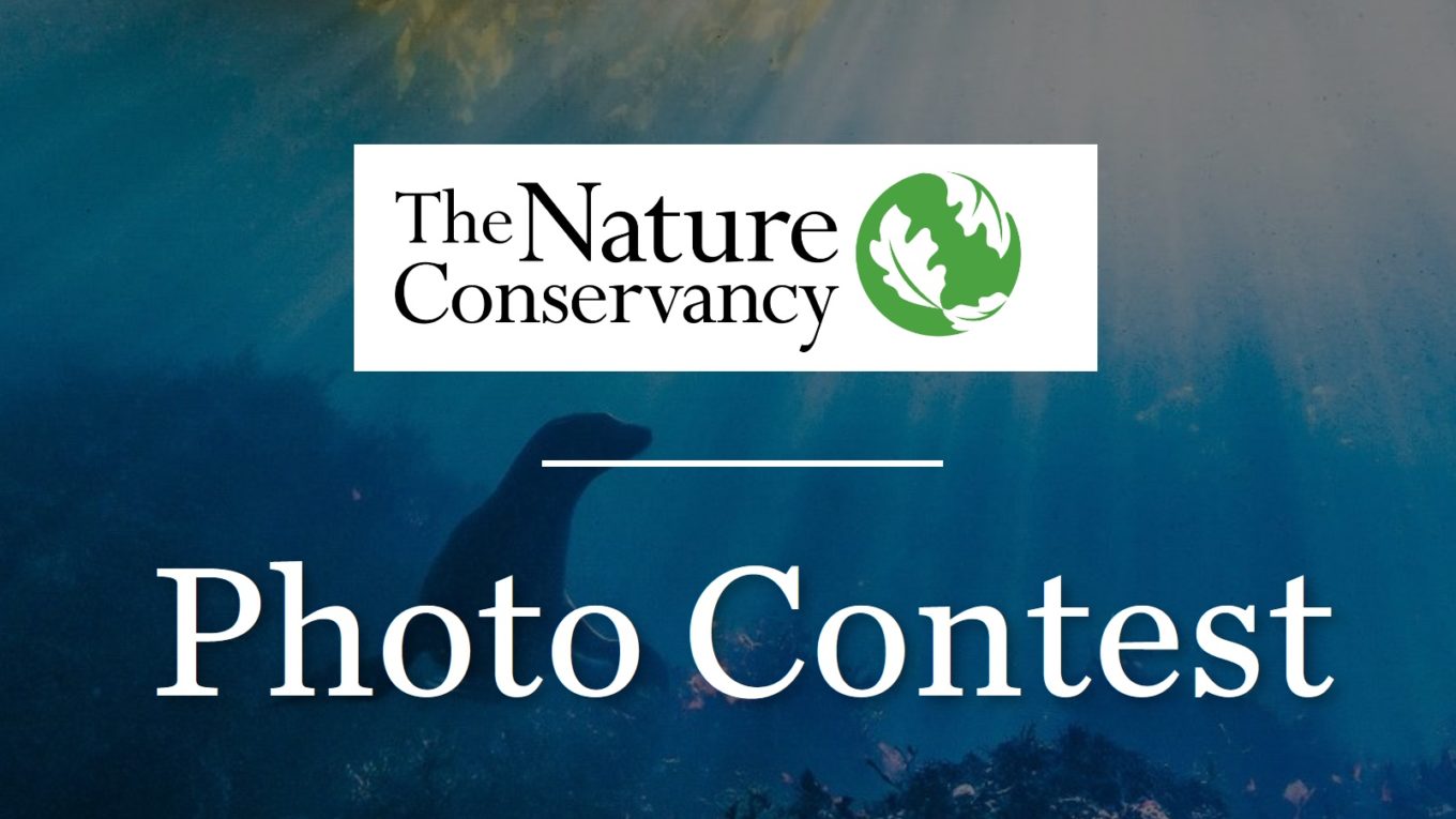 Nature Conservancy’s Global Photo Contest