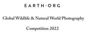 Earth.Org Photography Competition