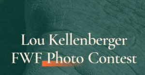 Lou Kellenberger FWF Photo Contest