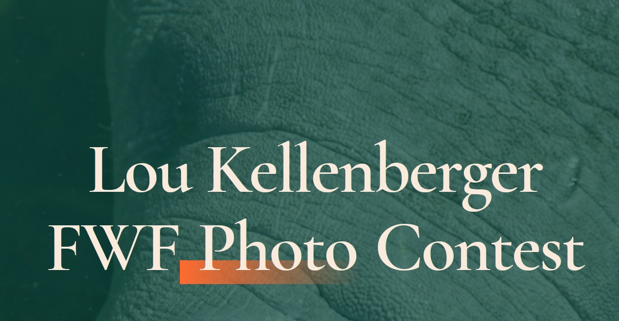 Lou Kellenberger FWF Photo Contest