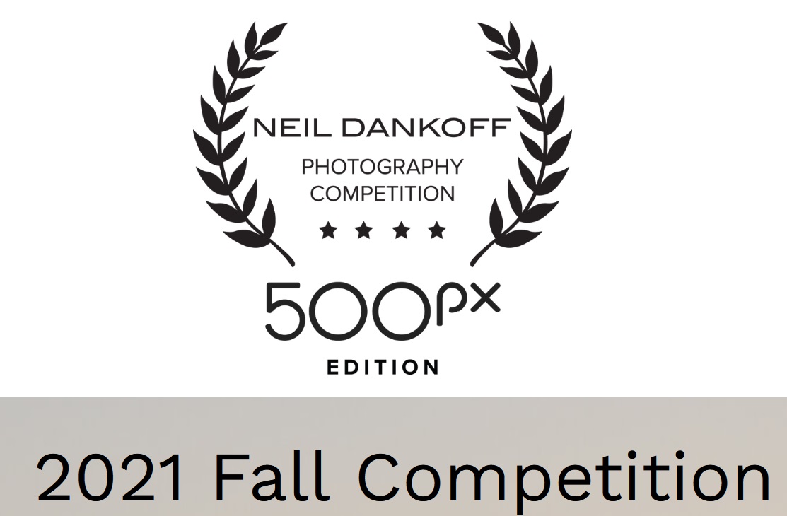 Neil Dankoff Photo Competition 500px Edition