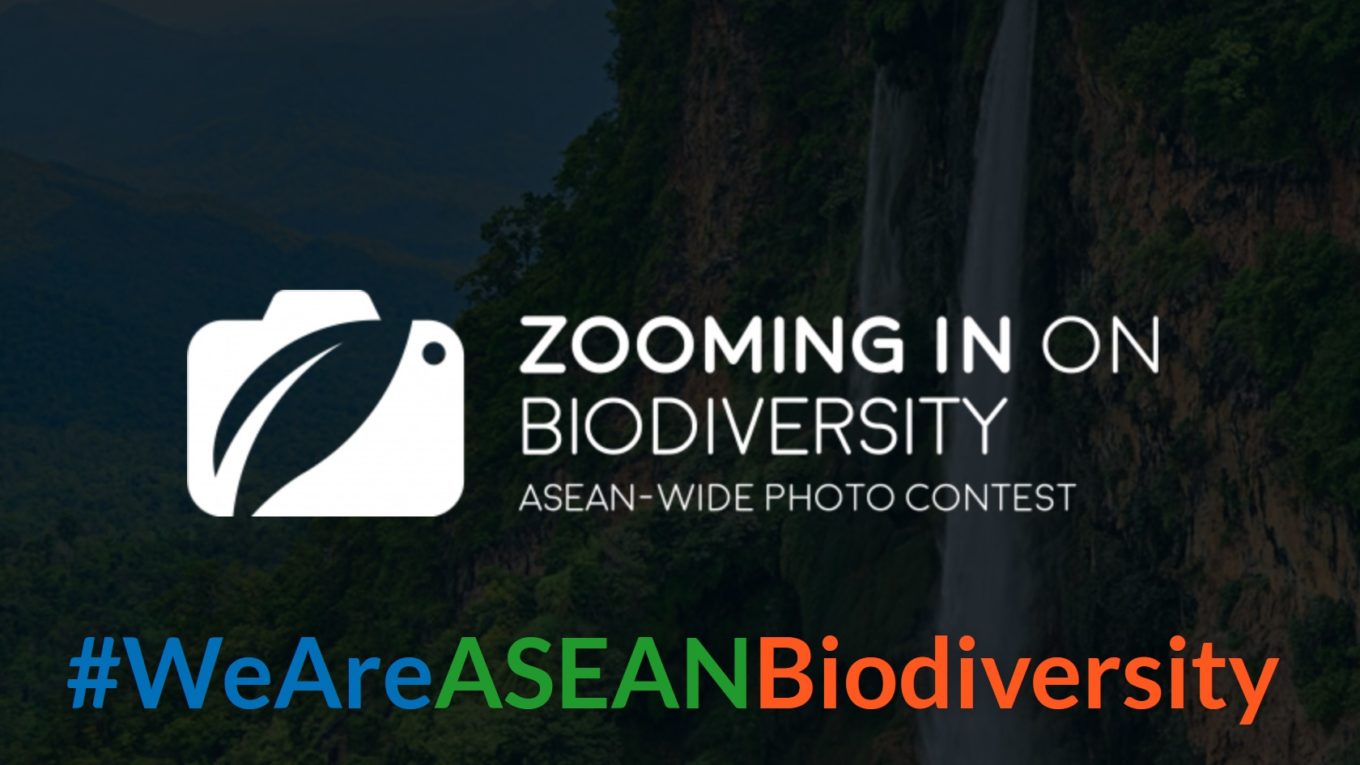 Zooming in on Biodiversity
