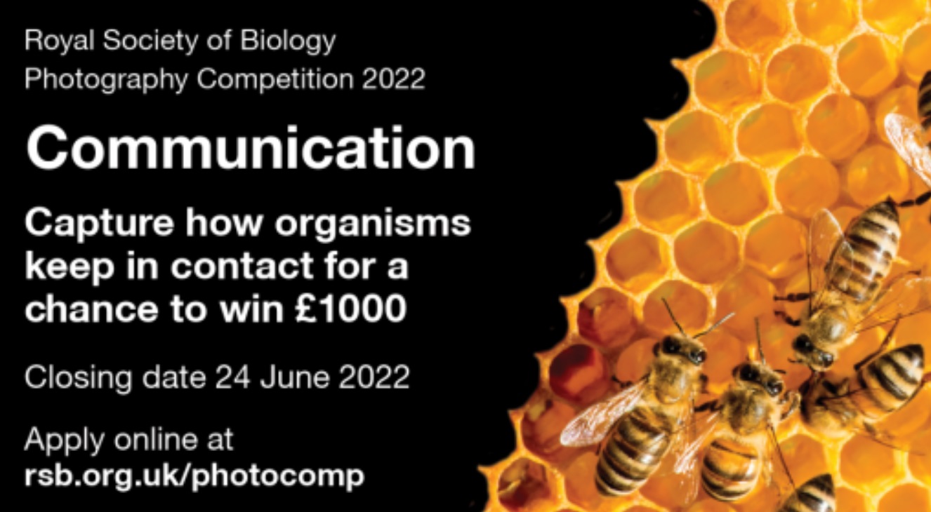 Royal Society of Biology Photography Competition