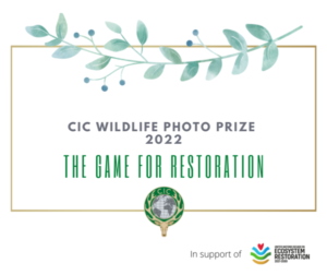 CIC Wildlife Photo Prize