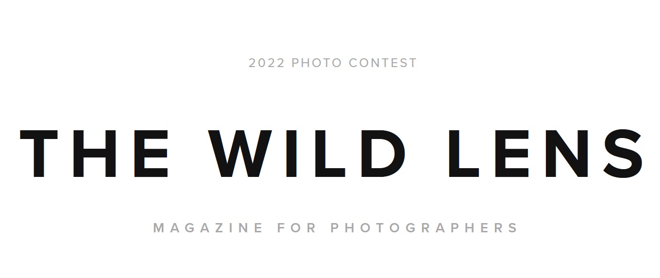 Wild Lens Magazine Photographer of the Year