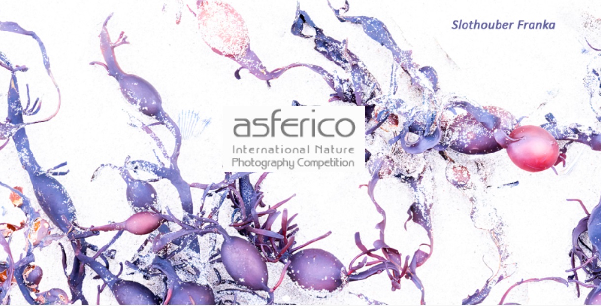 ASFERICO Nature Photography Competition