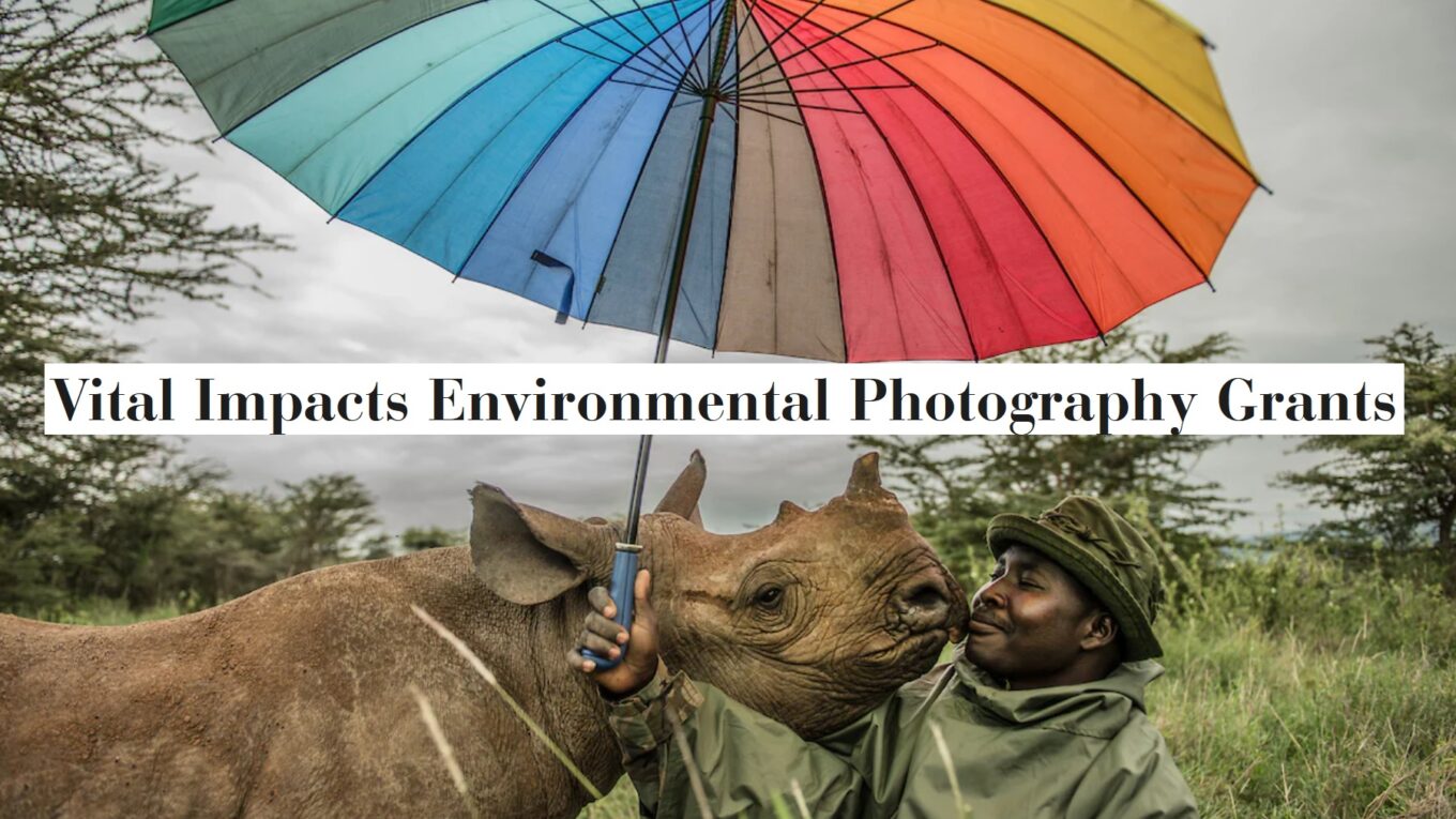 Vital Impacts Environmental Photography Grant