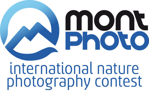 MontPhoto Contest