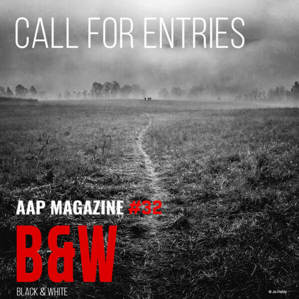 AAP Magazine #32 B&W