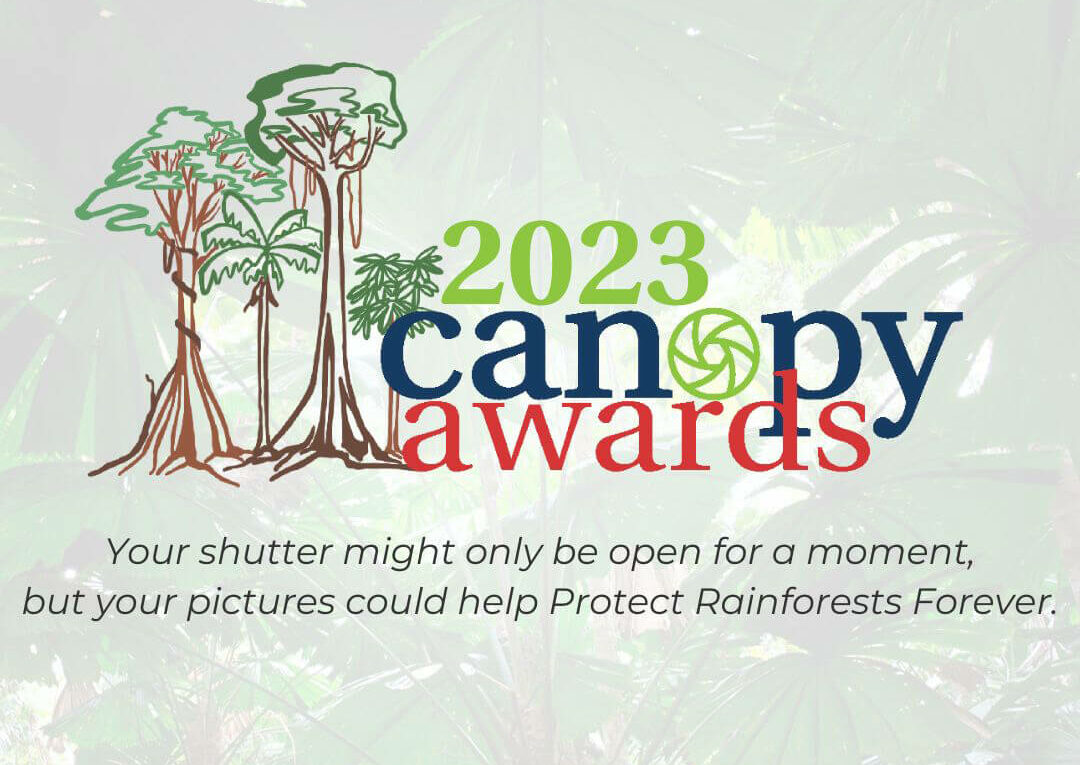 Rainforest Rescue Canopy Photography Awards