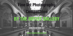 Fine Art Photography Contest by The Artist Gallery