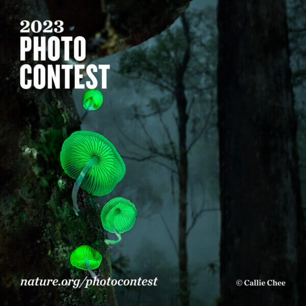 The Nature Conservancy’s Global Photo Contest
