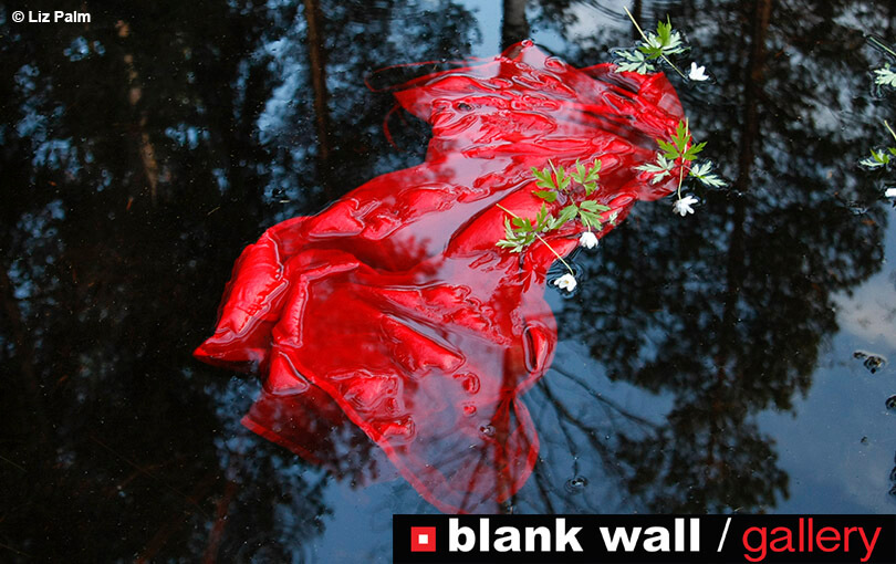 Conceptual by Blank Wall Gallery