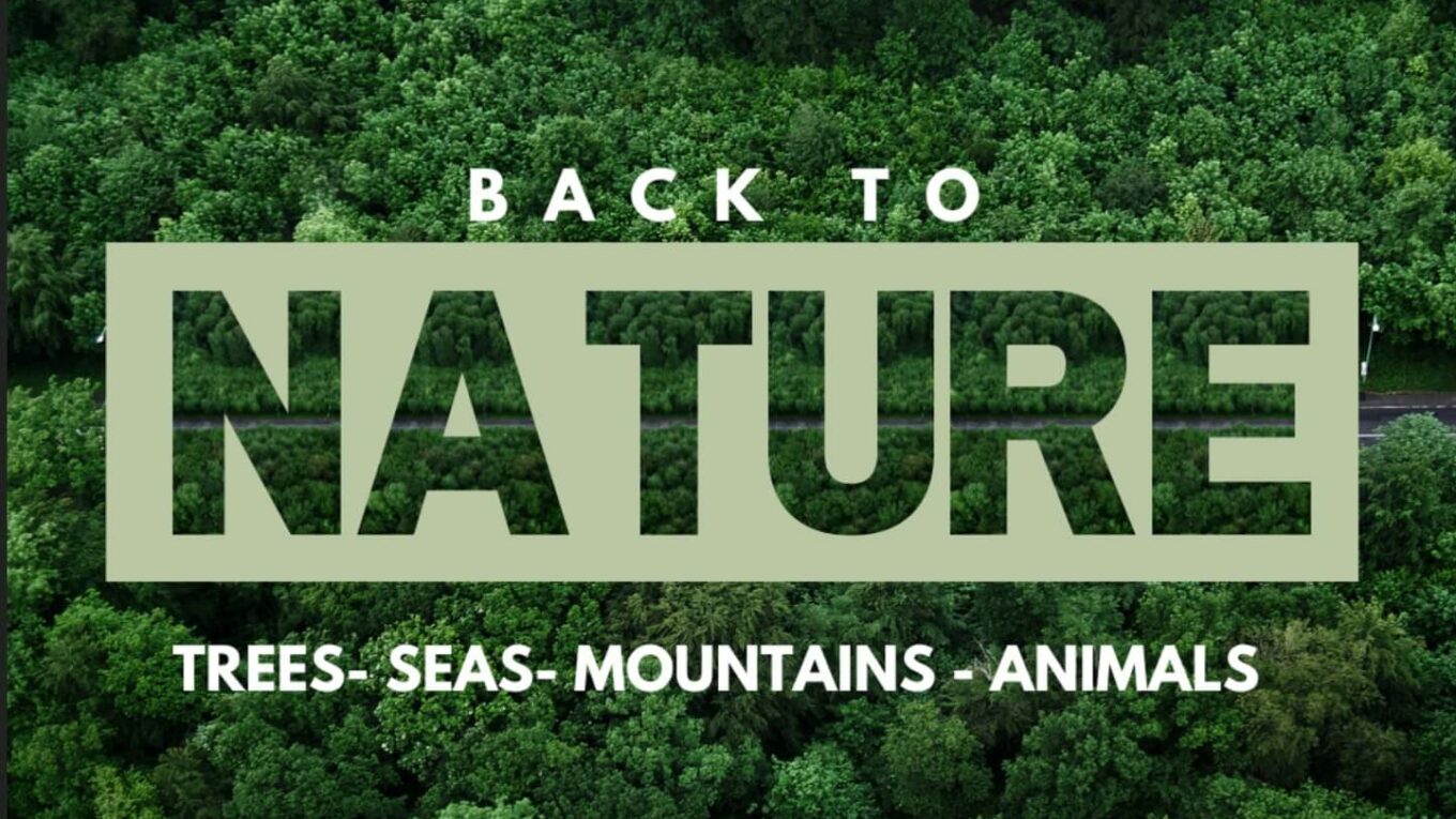 Back to Nature International Art Competition