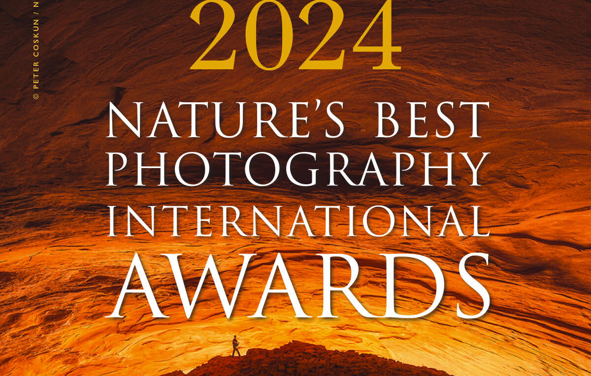 Nature’s Best Photo Awards