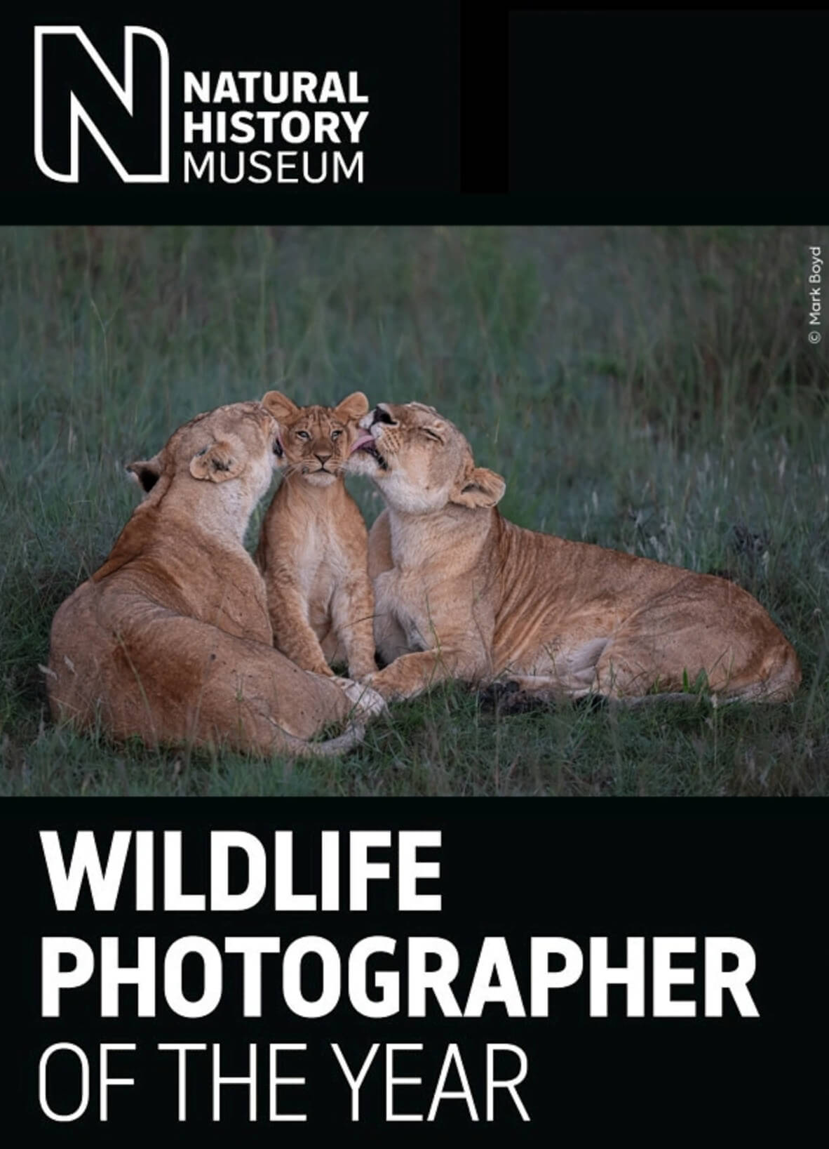 Wildlife Photographer of the Year 2025 | Photo Contest Calendar 2026