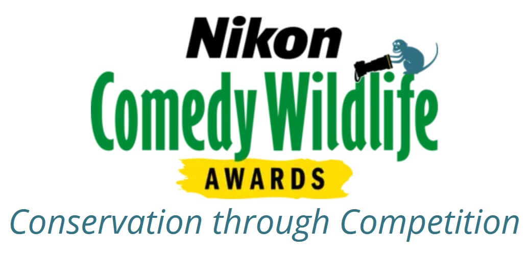 Nikon Comedy Wildlife Awards
