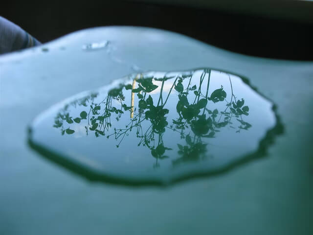 Water & Sky