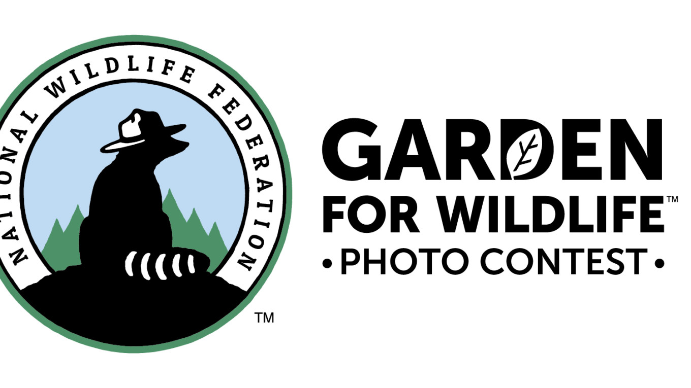 National Wildlife Federation Garden