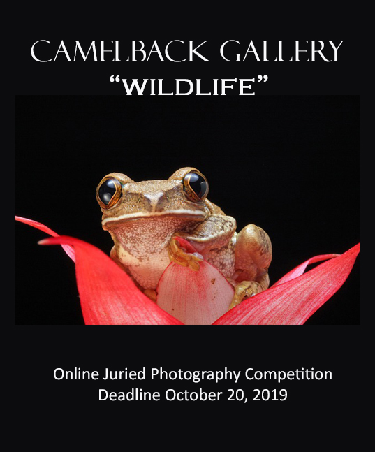 Wildlife Online Juried Photography Competition