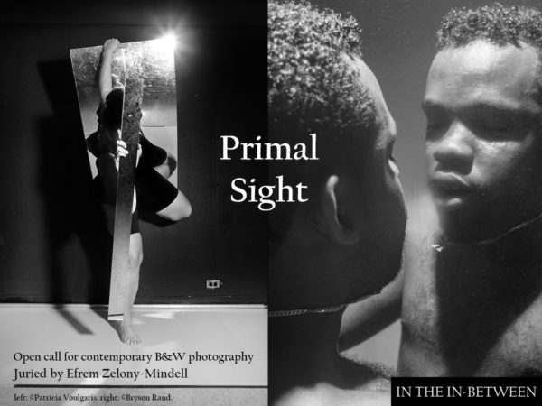 Primal Sight: Contemporary B&W Photography