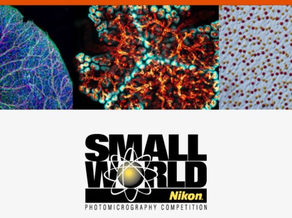 Nikon Small World Competition