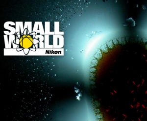 Nikon Small World Competition