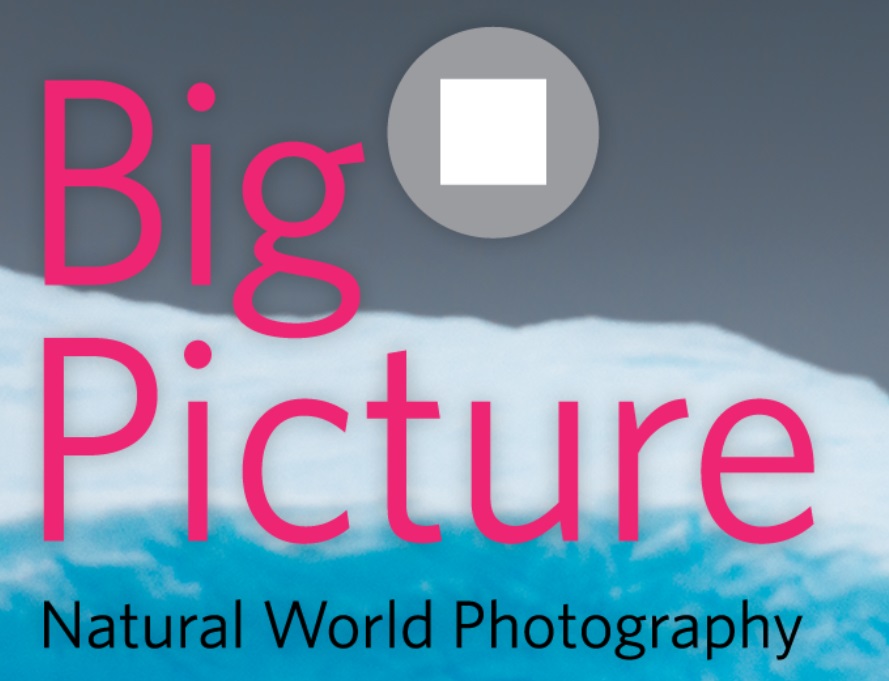 BigPicture Natural World Photography