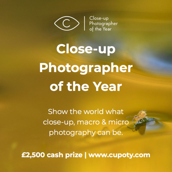 Close-up Photographer of the Year