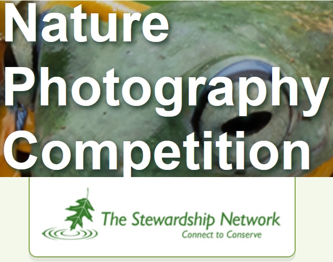 Stewardship Network Photography Competition