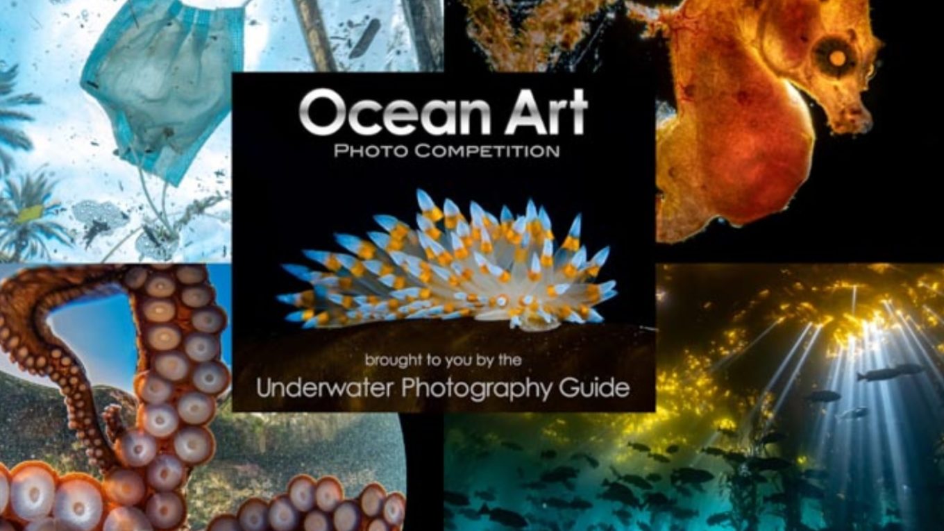 Ocean Art Underwater Photo Competition