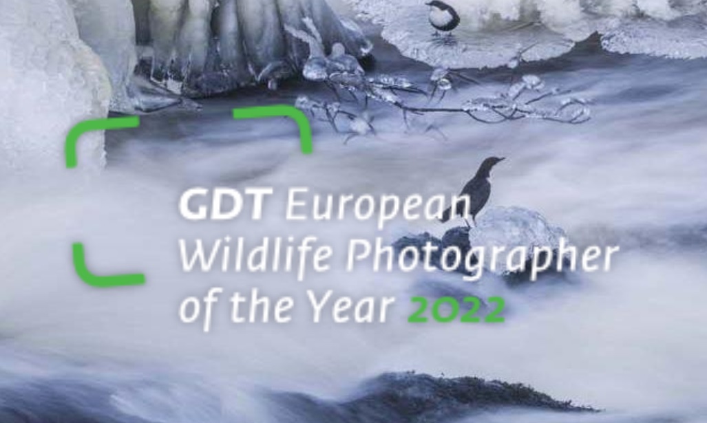GDT European Wildlife Photographer of the Year