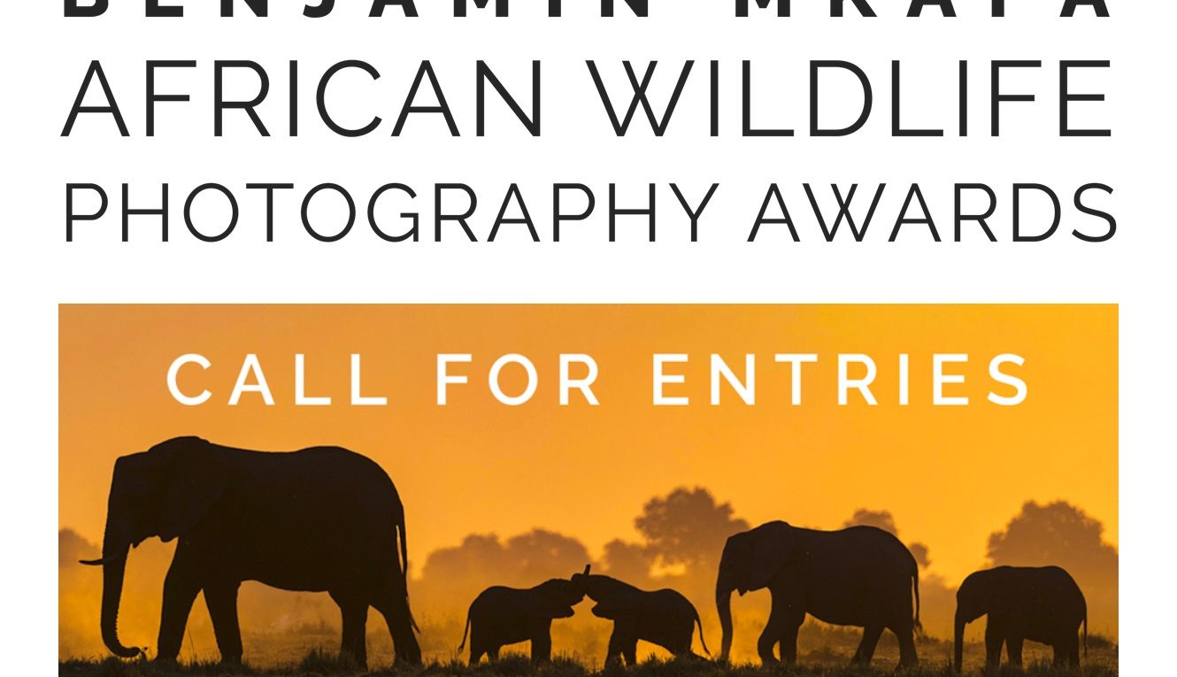 Benjamin Mkapa African Wildlife Photography Awards