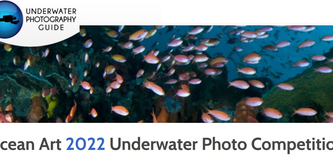 Ocean Art Underwater Photo Competition