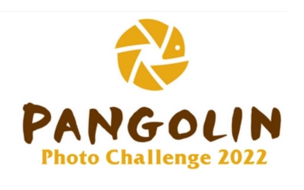 Pangolin Photo Challenge
