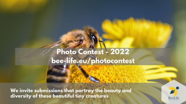 Bees and Pollinators Photo Contest