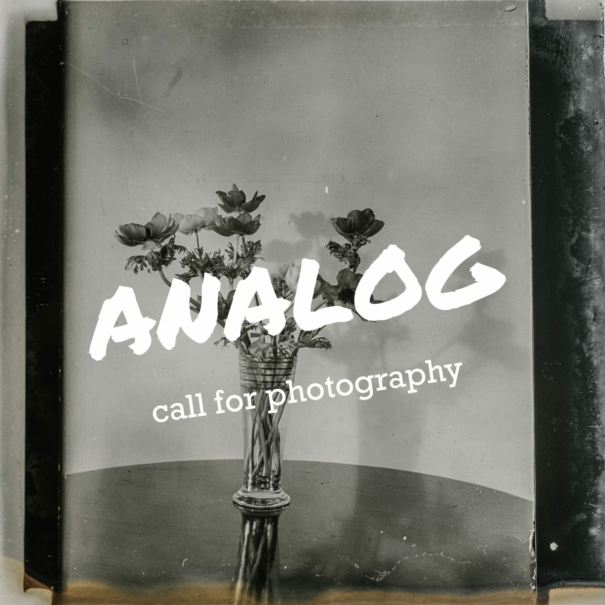 Analog Photography Exhibition Photo Contest Calendar 2024