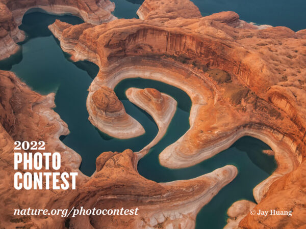 Nature Conservancy’s Photo Contest