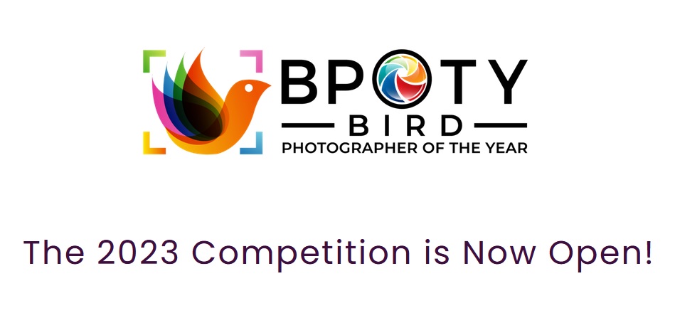 Bird Photographer of the Year